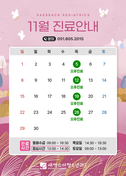 11월진료일정